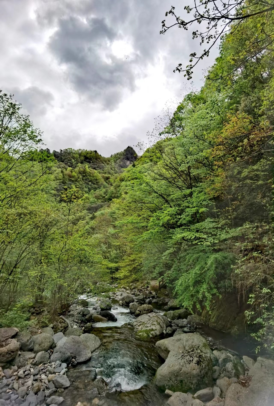 qaf2uMFczrE6hZacOiM7mgy_7ZyD8sMYcT6RVk-cpf5YupJYHkUpAZoFqsZGa-a7