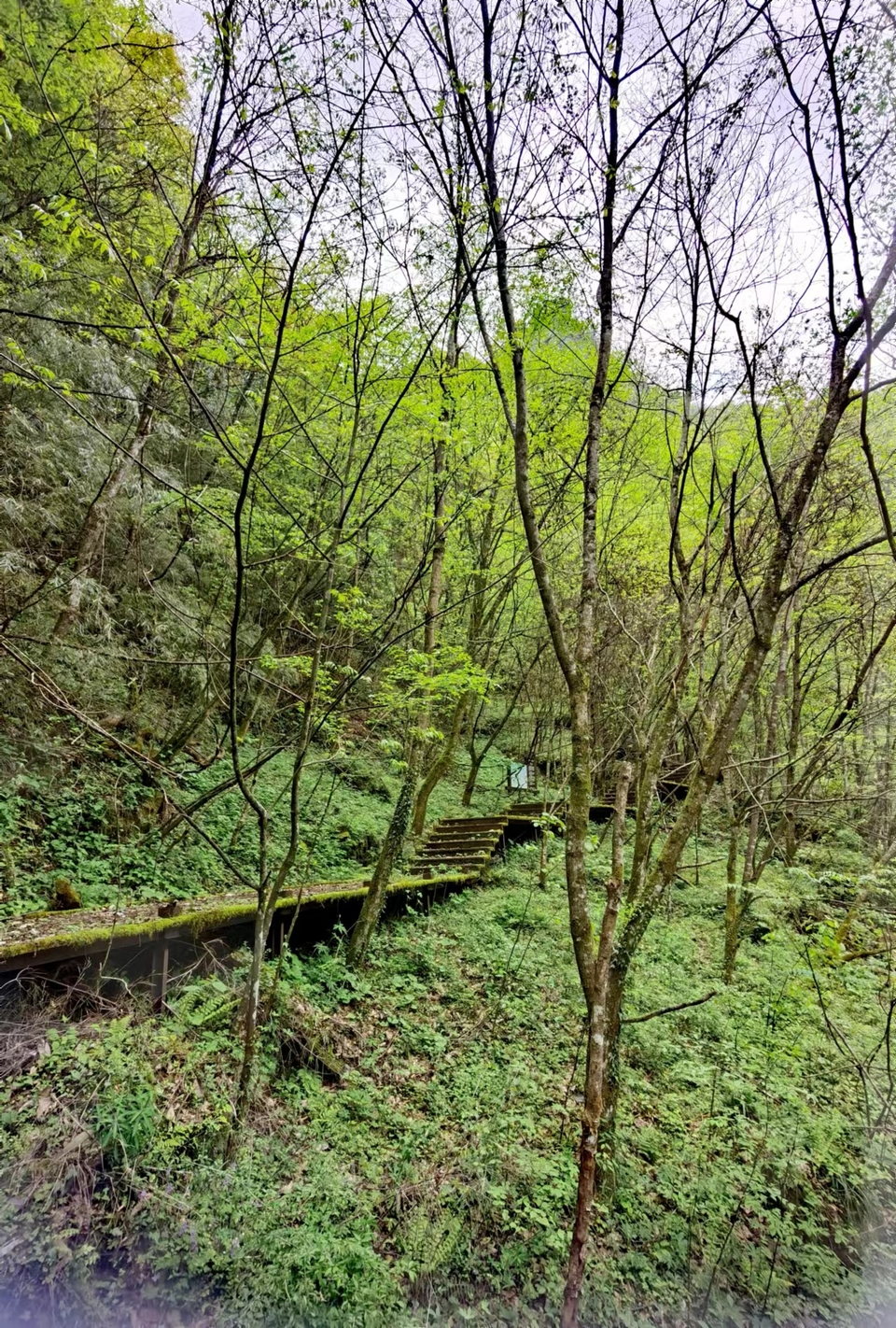 qaf2uMFczrE6hZacOiM7mttuSdUCx0LjTFaORVgsmX7ilH371xP-cZ1R0MraDI--