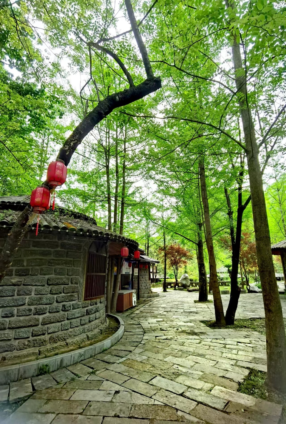 qaf2uMFczrE6hZacOiM7mg_MJI_3RJrQ60NIkiOSur1r9rlnnAw9PAQ_p6NTOFu5