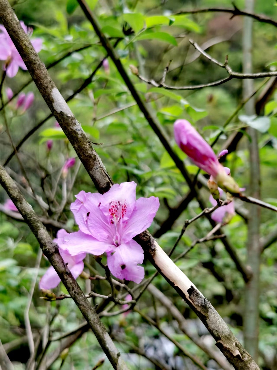 qaf2uMFczrE6hZacOiM7mk3x_lBSu5ZCyh-U7MEIwlPKVExGwK5dsBxUAddjy-z4