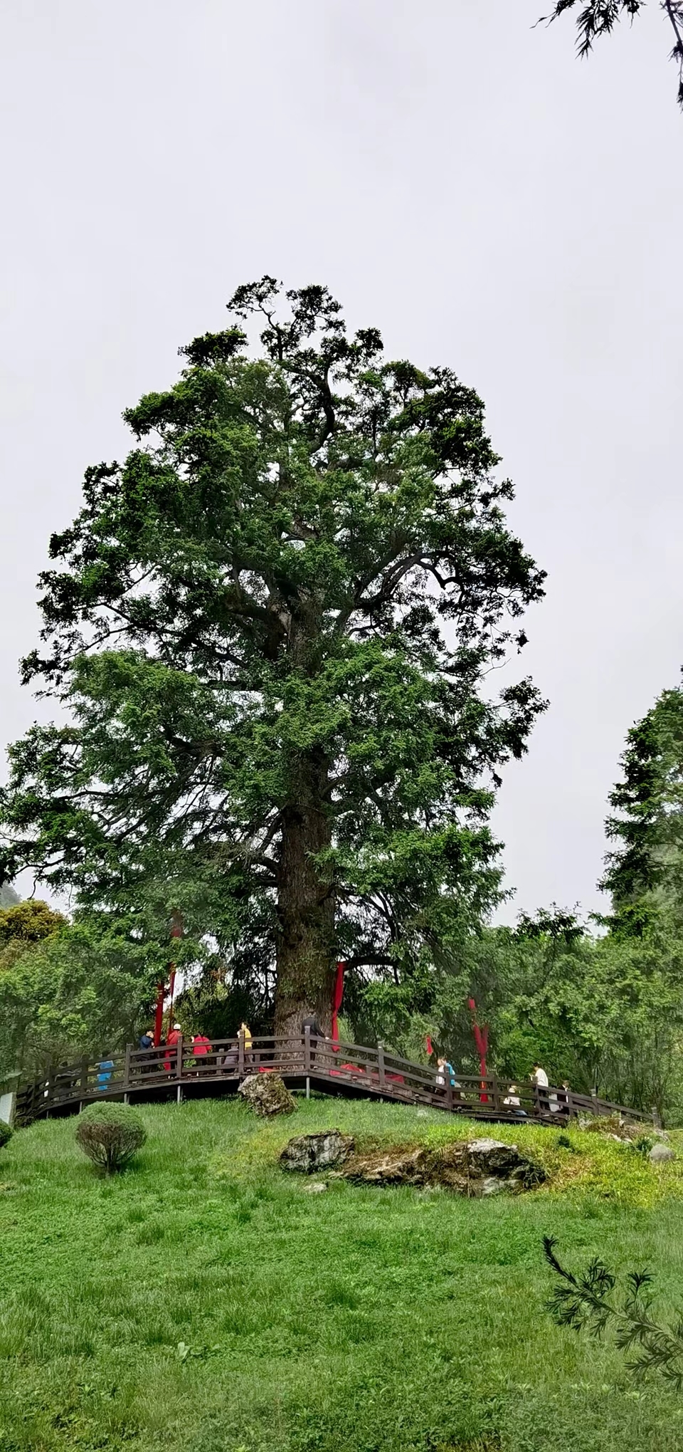 qaf2uMFczrE6hZacOiM7mulKZXtECA6ZWzkoncEIpR02D5-YNlcB4zzLEMMx4wKI