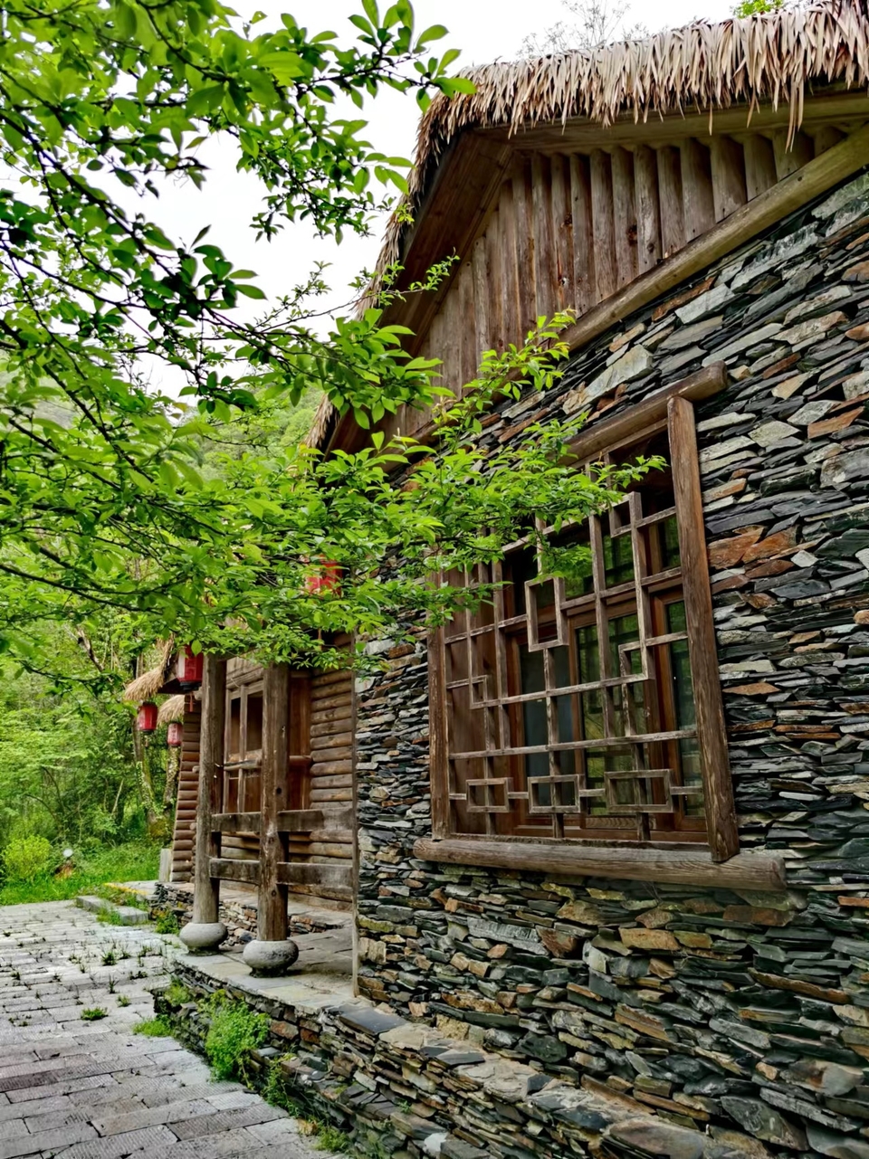 qaf2uMFczrE6hZacOiM7mkDqhbtHb1t9lVOsXTr_dxLemDRPG1zS8cJtGt2tsb89