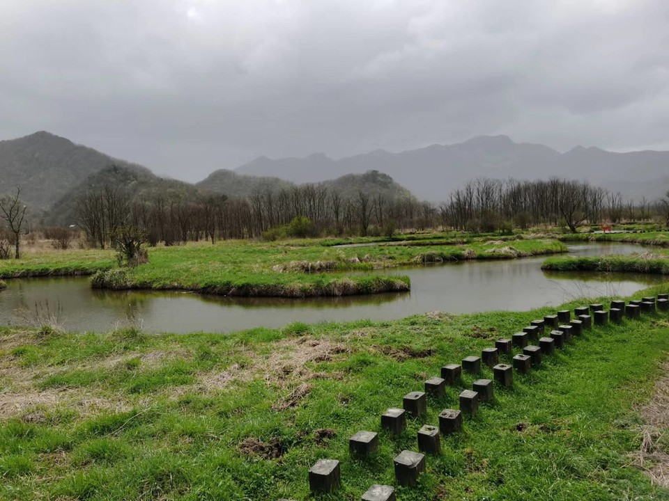 qaf2uMFczrE6hZacOiM7mmqim29PRkTWeGfEedug24_t3ssv60951BonAckGptE8