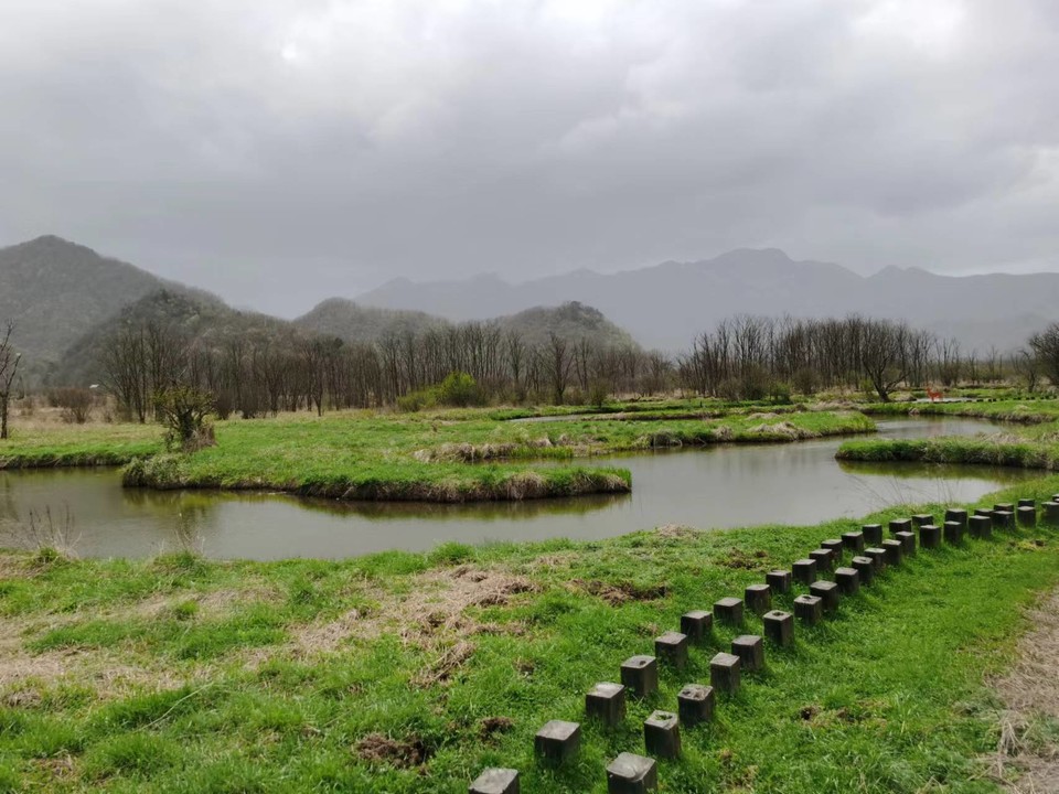 qaf2uMFczrE6hZacOiM7mpOFXZylAJlTzaLn55Vyxl6hXPWHCI8IoUErAbe2zMPA