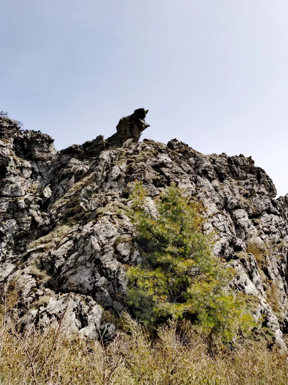 qaf2uMFczrE6hZacOiM7mj7_OVy0VSxTn3STY7-HW7ady4IoLDO89VtHL8CVECr5