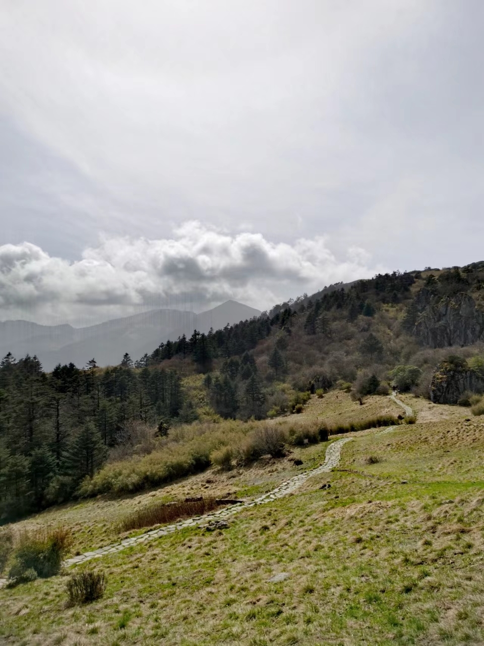 qaf2uMFczrE6hZacOiM7mgL7OLLt6ys-Vi4xYOSdlGNF5maSjUm7khoau-MnFbx8