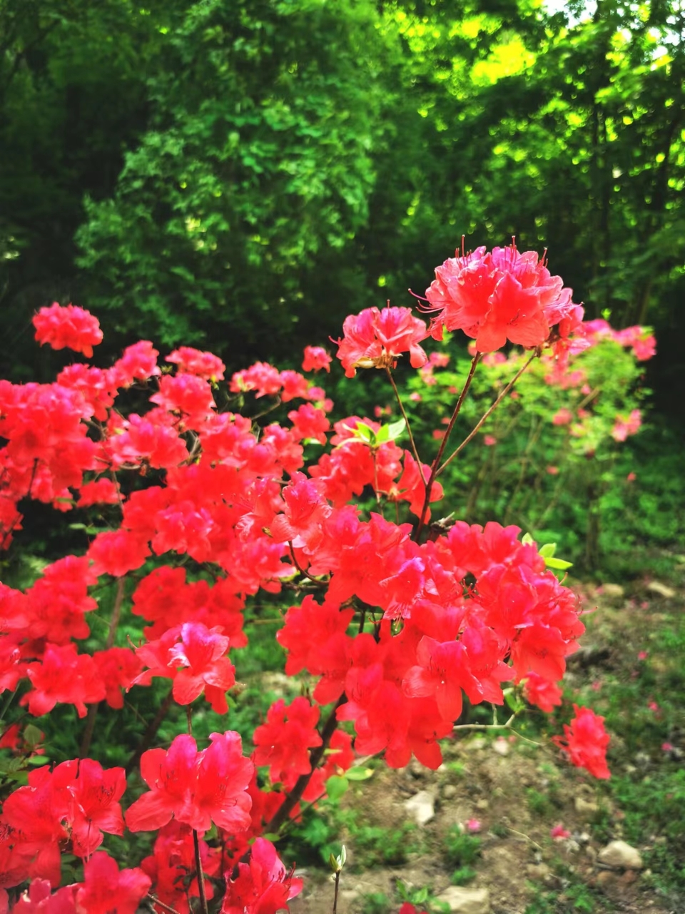 lFylNzfnk7DA7GJcBDEB-shxwa1epQKI4y9V24p6EndR_xoAI-97UvIrlyD9oK4X