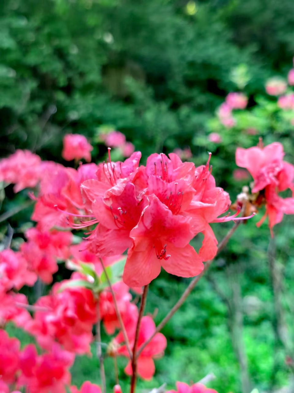 lFylNzfnk7DA7GJcBDEB-pWi79TknuA6XF-CyeMVQVxbJFweMGxPH9nBi9eA17MY