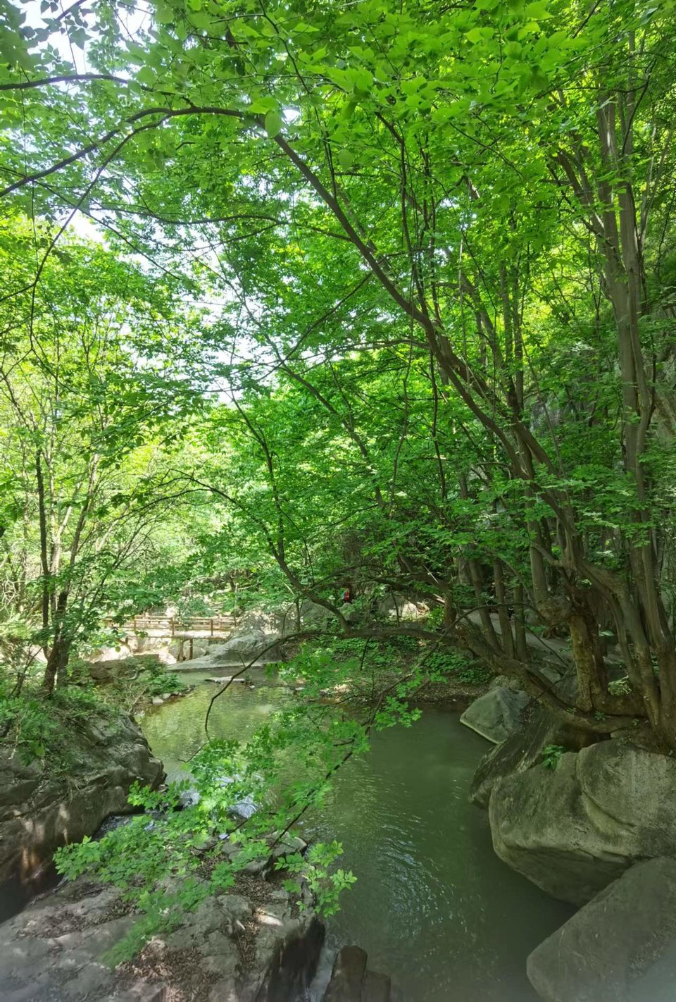 lFylNzfnk7DA7GJcBDEB-lgg8LVczq-329w9K5HlXaVcFS9SaljtGL3-_QeL9gNH