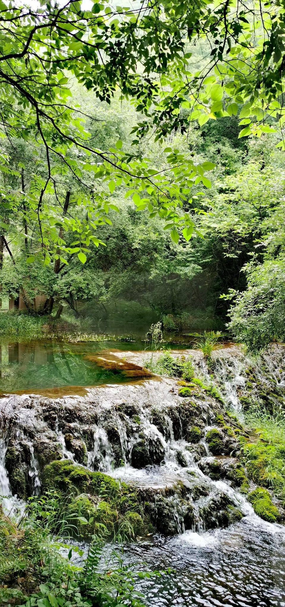 HVgA0VVPxE7g7NE_wWgixRfRLjBIBvgq6hmcRBf-3GAza4UmMjDPk3zCKPXm6iJC