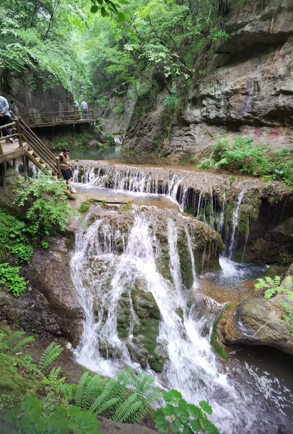 HVgA0VVPxE7g7NE_wWgixXg3d-TAcznqwGyDXXOEb5-s-VLlLo1Btn0TsKLdZ5y4