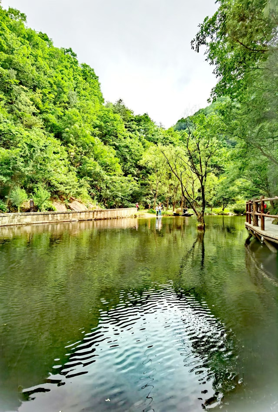 HVgA0VVPxE7g7NE_wWgixch2_IQkxAwgvhAYwKPY437laOMMhB83Tes9J5y59Mj-