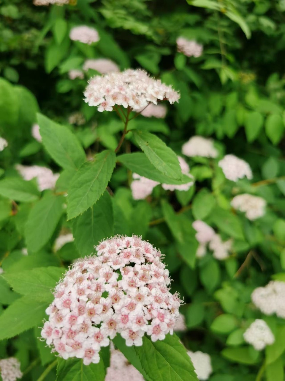 HVgA0VVPxE7g7NE_wWgixfMrIskKsAMnwg8LR2Pu7roEOv6T4gNYU5jqXsr-M-UM