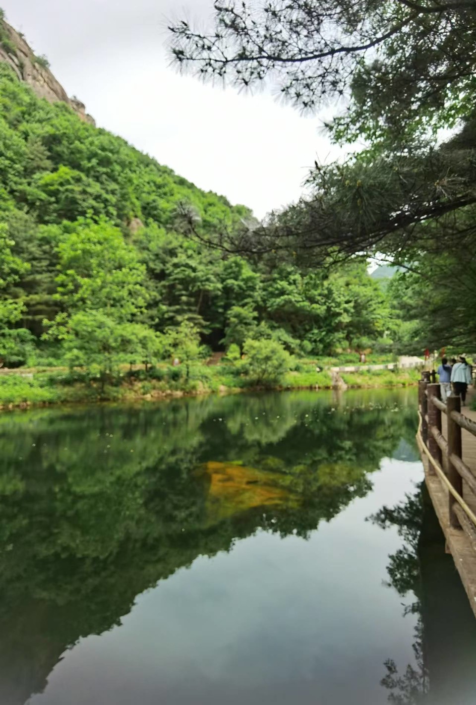 HVgA0VVPxE7g7NE_wWgixfIHFwuoDRbxGsLrf88DseEkK3xfRxBwsL65SxK4lvHi