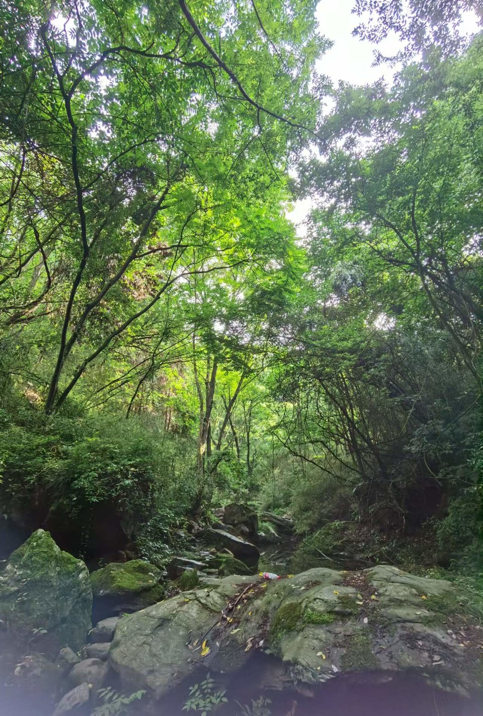 gV7wvadLHuNCmOR3tjQErB7Z1y3p4tIHLLnypxcsZ0h1tO4LYlfKu6YQj2J3z6Y5