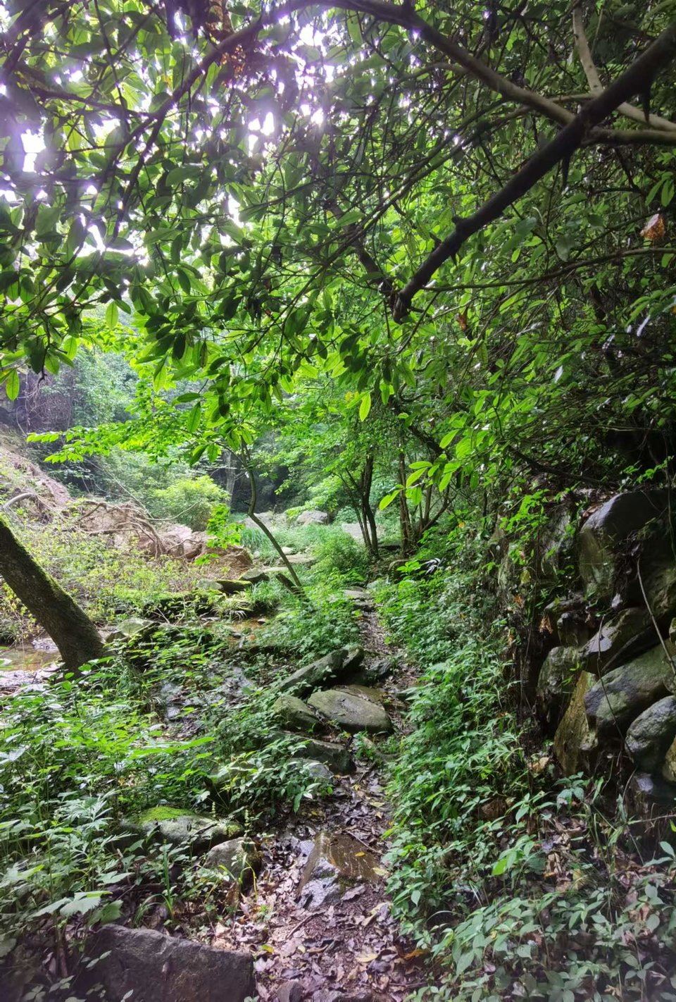 gV7wvadLHuNCmOR3tjQErBZs4RUZKYhSW94uz0SI1B_WUw6dkJ_nSy1SGU5_75H3