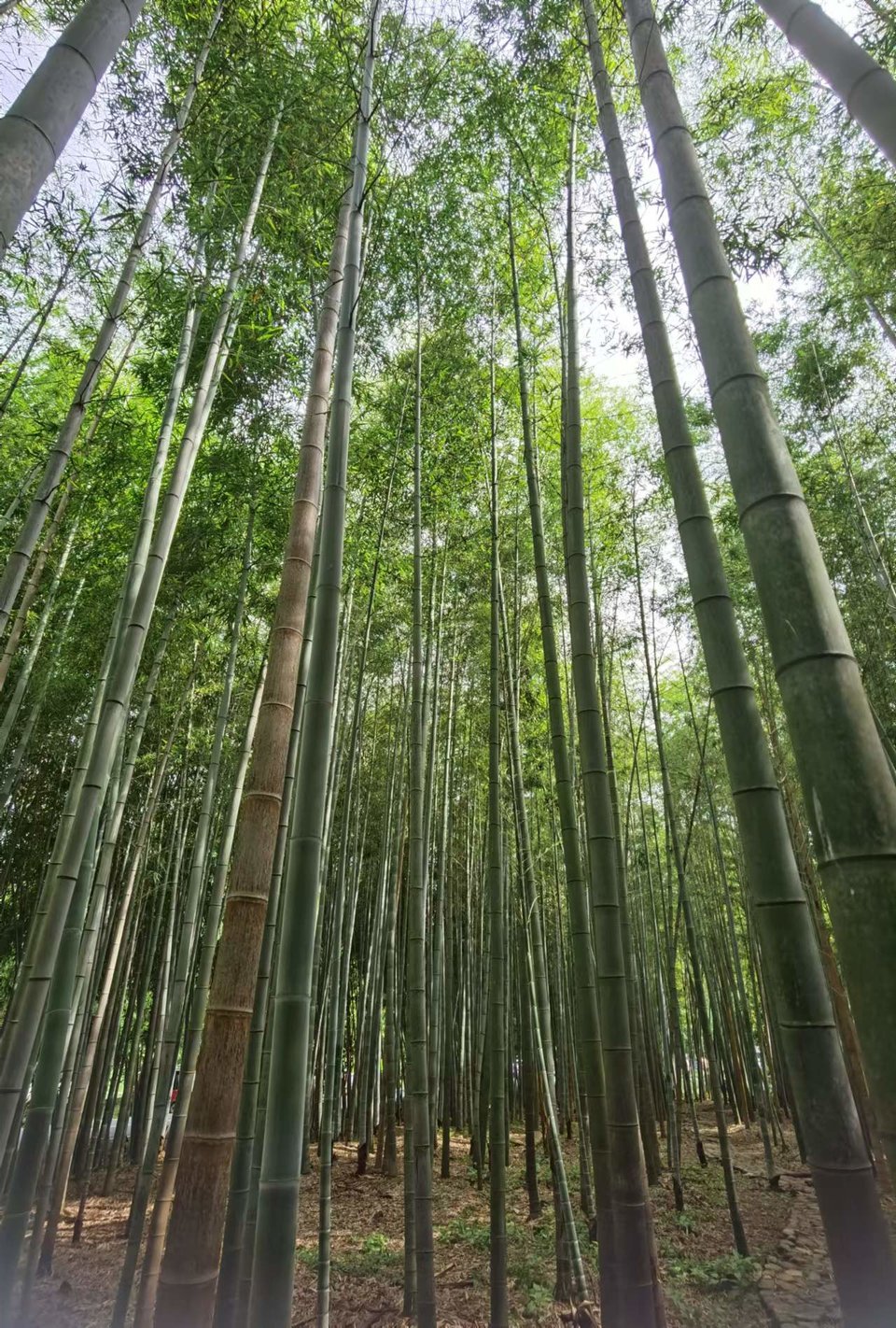 gV7wvadLHuNCmOR3tjQErB1CEnpau45ei7Enxojj3gXKA3Rnzg6AZAEUjme9K6E2