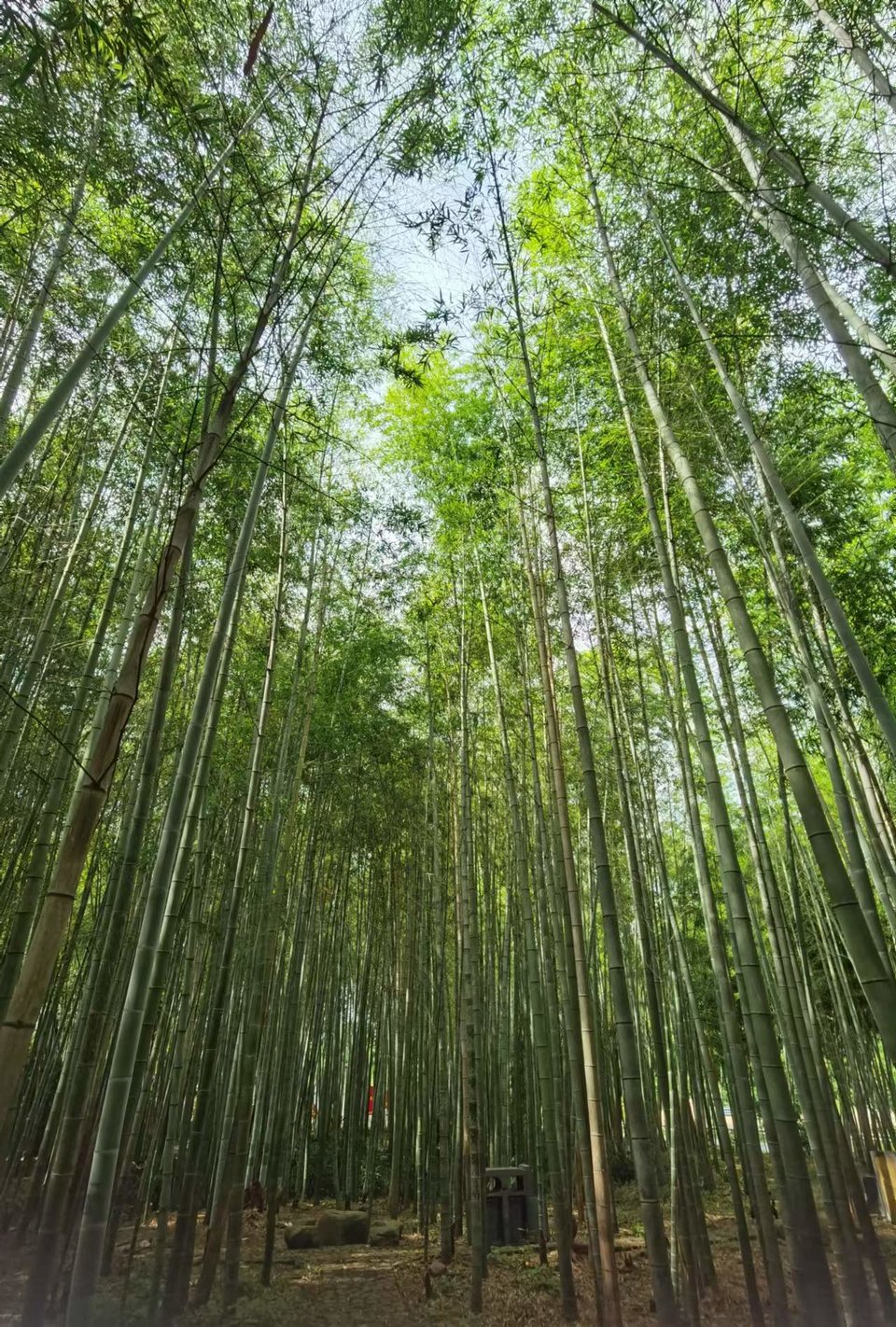 gV7wvadLHuNCmOR3tjQErONSdUes7TYW9nIIMnzHD8jO7VXFRlPNGTXZhIwKlx42