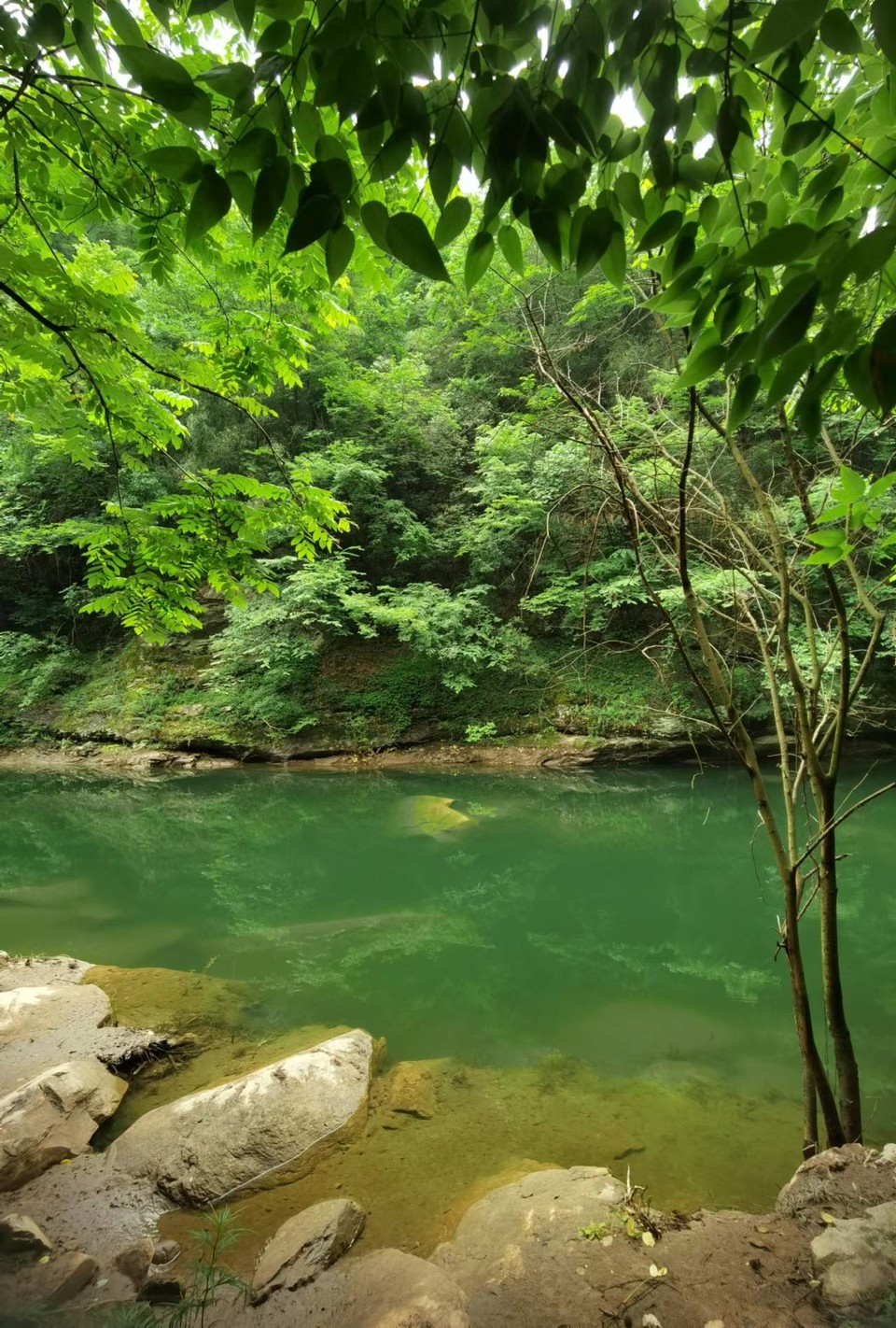 gV7wvadLHuNCmOR3tjQErJG6qoJKNZpEJ8usoLba1CSogmP3jc5-6UoLe2x1dTys