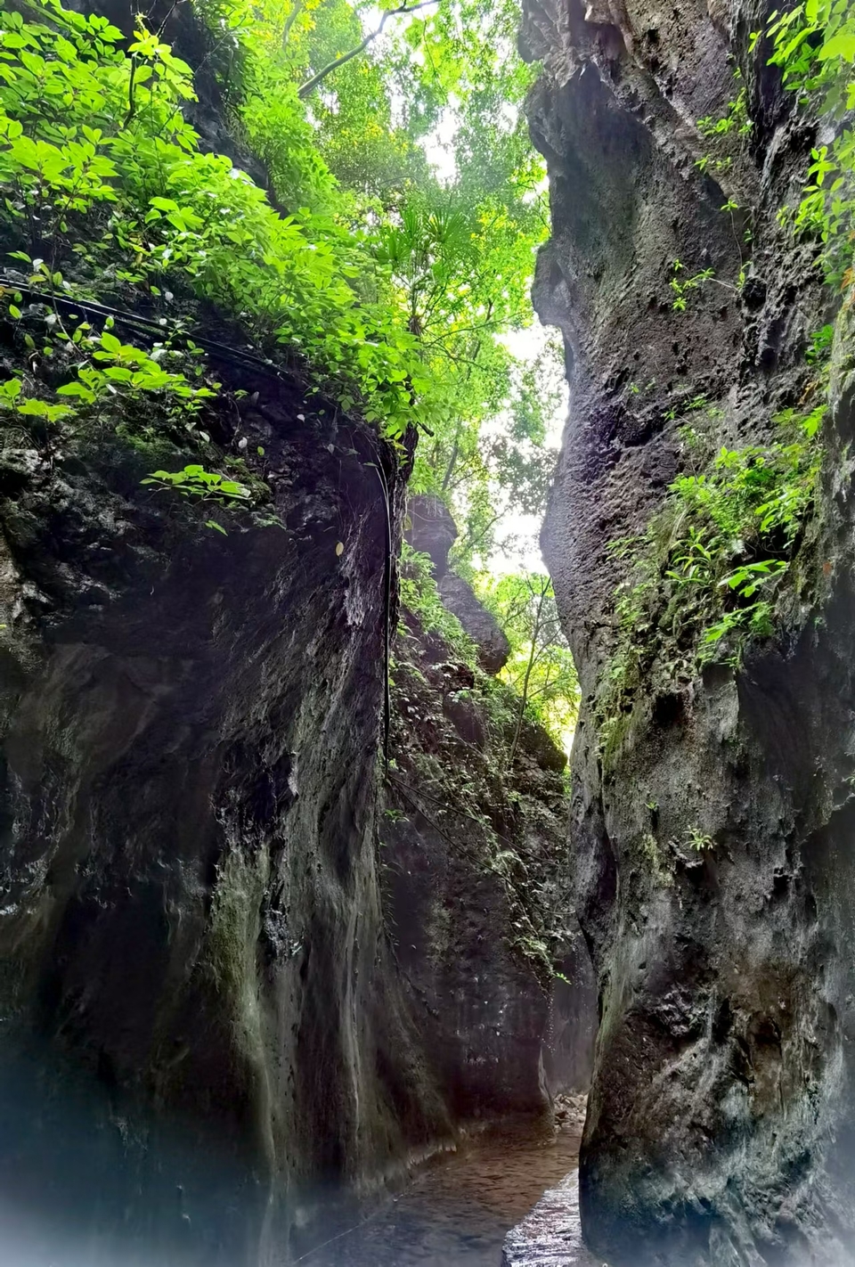 gV7wvadLHuNCmOR3tjQErIn5s8ru8EfF9-f1CiztSrFnTk0cPNY6xqHdS7o_Crsx