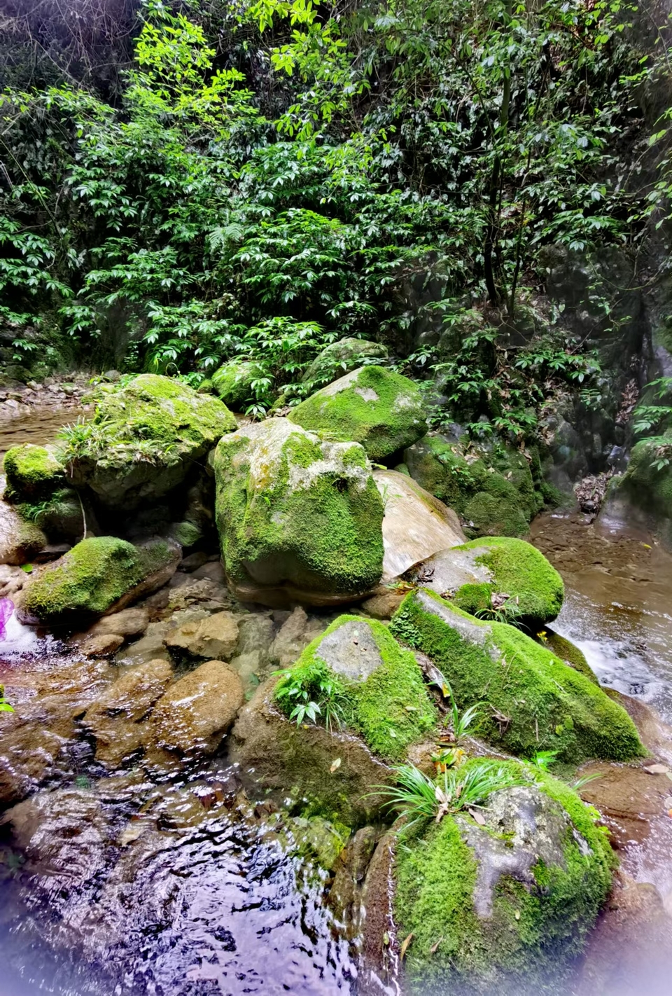 gV7wvadLHuNCmOR3tjQErPKStT-DxLC4ZVOGf31PKdtVZL-iqhq2AjSXi-27wuFI