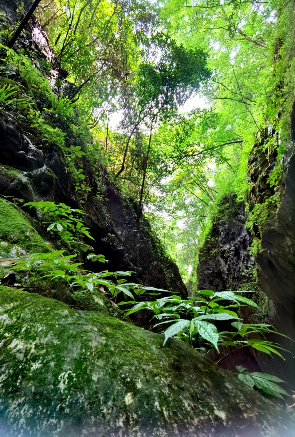 gV7wvadLHuNCmOR3tjQErKbYlxvGplfz8C6QXfVg2WRTfXuJihlMwg9ksebZlOdx