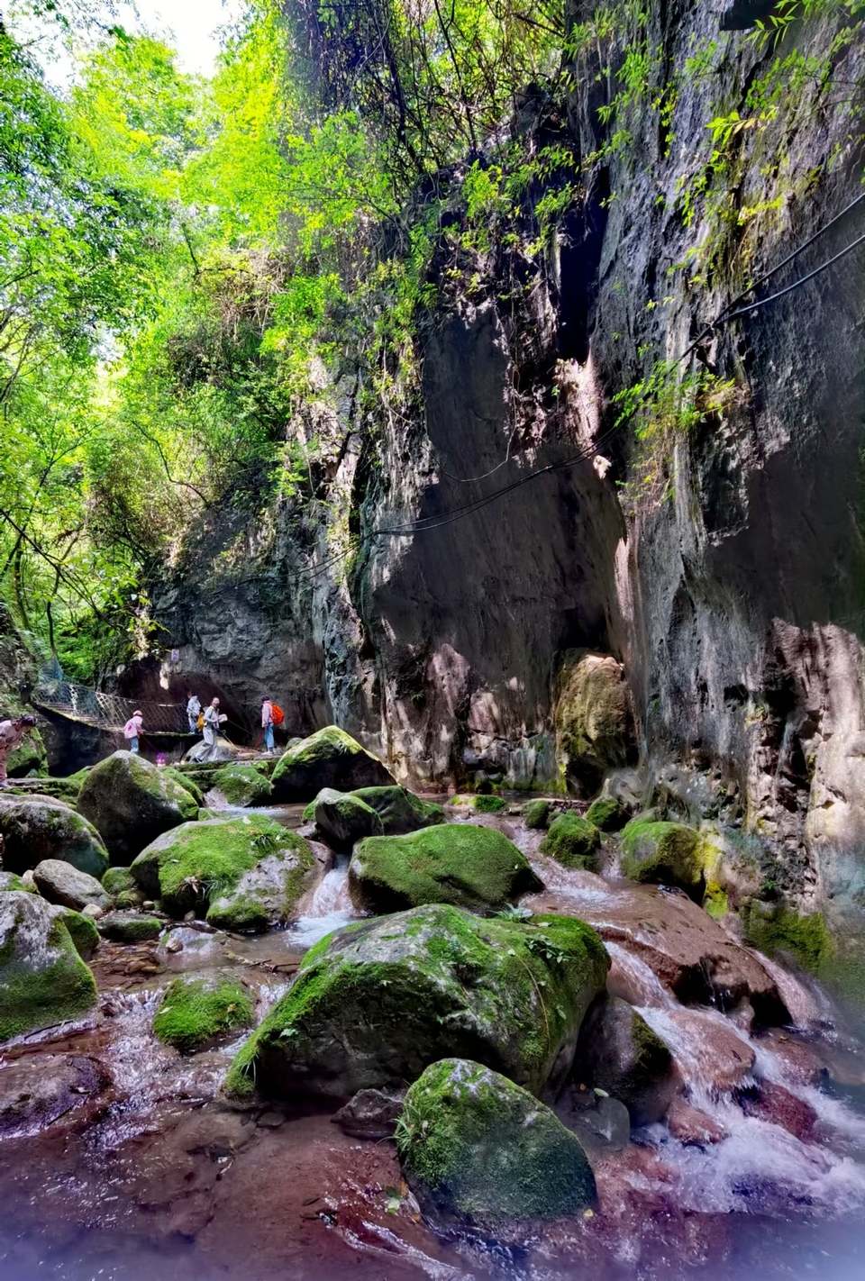 gV7wvadLHuNCmOR3tjQErBlmIO1Id6CLz0MDAM3JniehgZd5lseJpmDX5WHMfUla