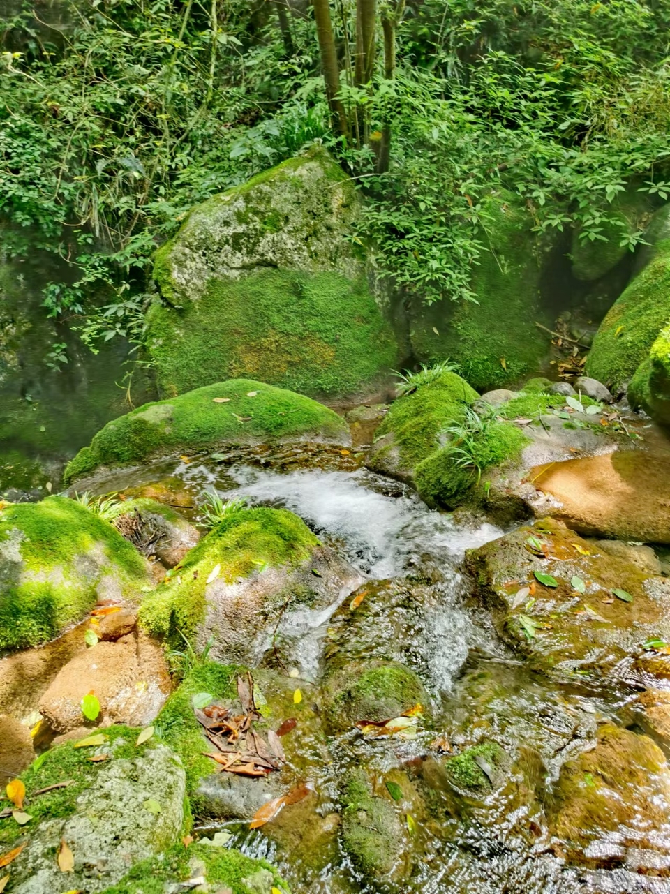 gV7wvadLHuNCmOR3tjQErFNaWFNrcWP0W_xYOtdUhnP0eXnTRN2_5KsgbqVo02XP