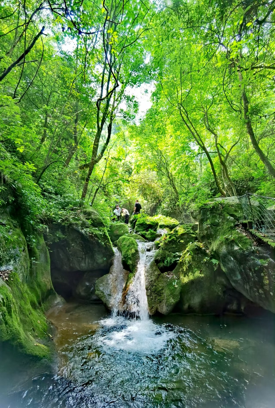 gV7wvadLHuNCmOR3tjQErBPlamLOHXUunSWQUI-W7sVgNdH9IS9mIH2QR3PRkQ5U