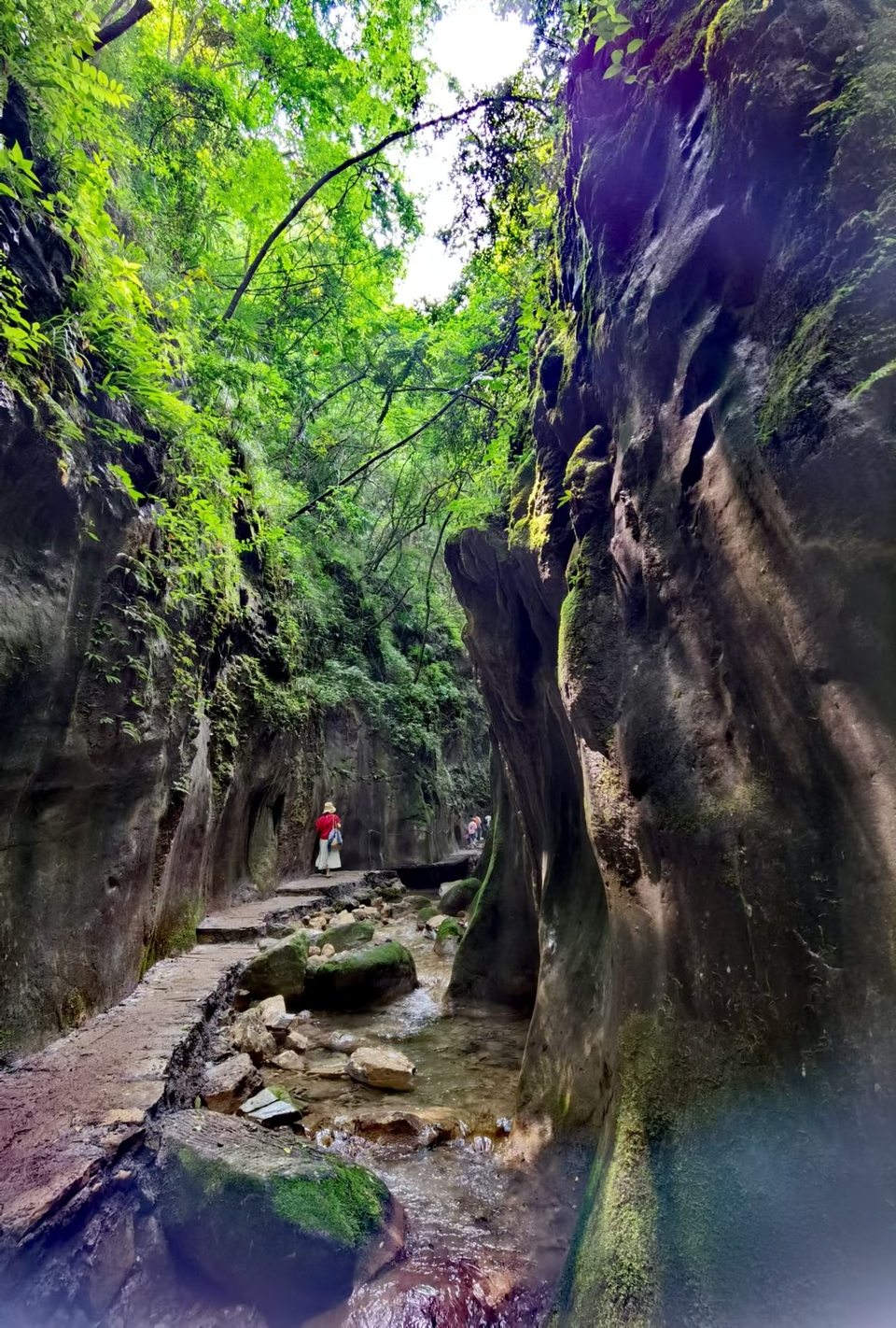 gV7wvadLHuNCmOR3tjQErEj7tS7raDv53KVss1xj4-pD7VCtBOrUloiqUjFn5ih0