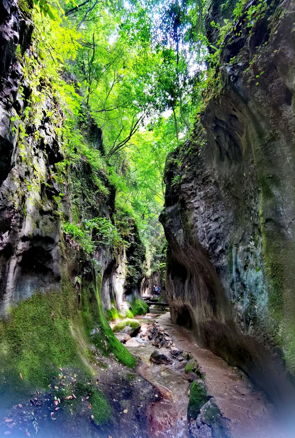 gV7wvadLHuNCmOR3tjQErEhITvjP21uogovFOIcYwgd4U0tz0_y9ZRBz1jEqXnUk