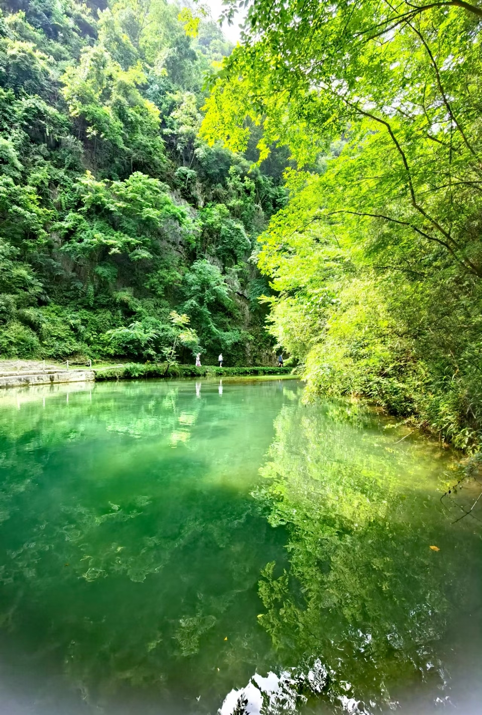 gV7wvadLHuNCmOR3tjQErNmtCsex9MzKt36-sEvckVrf3CmiiXXfUU0Ydu6Kk6N5