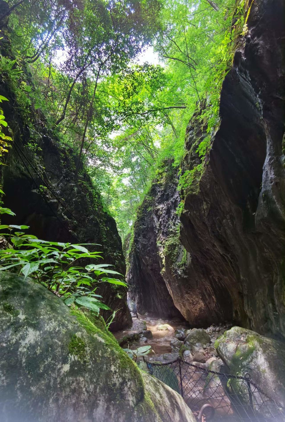 gV7wvadLHuNCmOR3tjQErKXSsOofP9bkUQfbrqj2JCeQIiA-05UJr78p9LCVBd2v