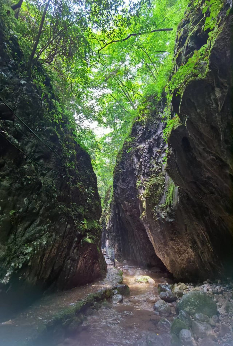 gV7wvadLHuNCmOR3tjQErPzsb7Y6YM0kbK1uEMjyLed_t5WCZmHDy9CBRUpJmDdT