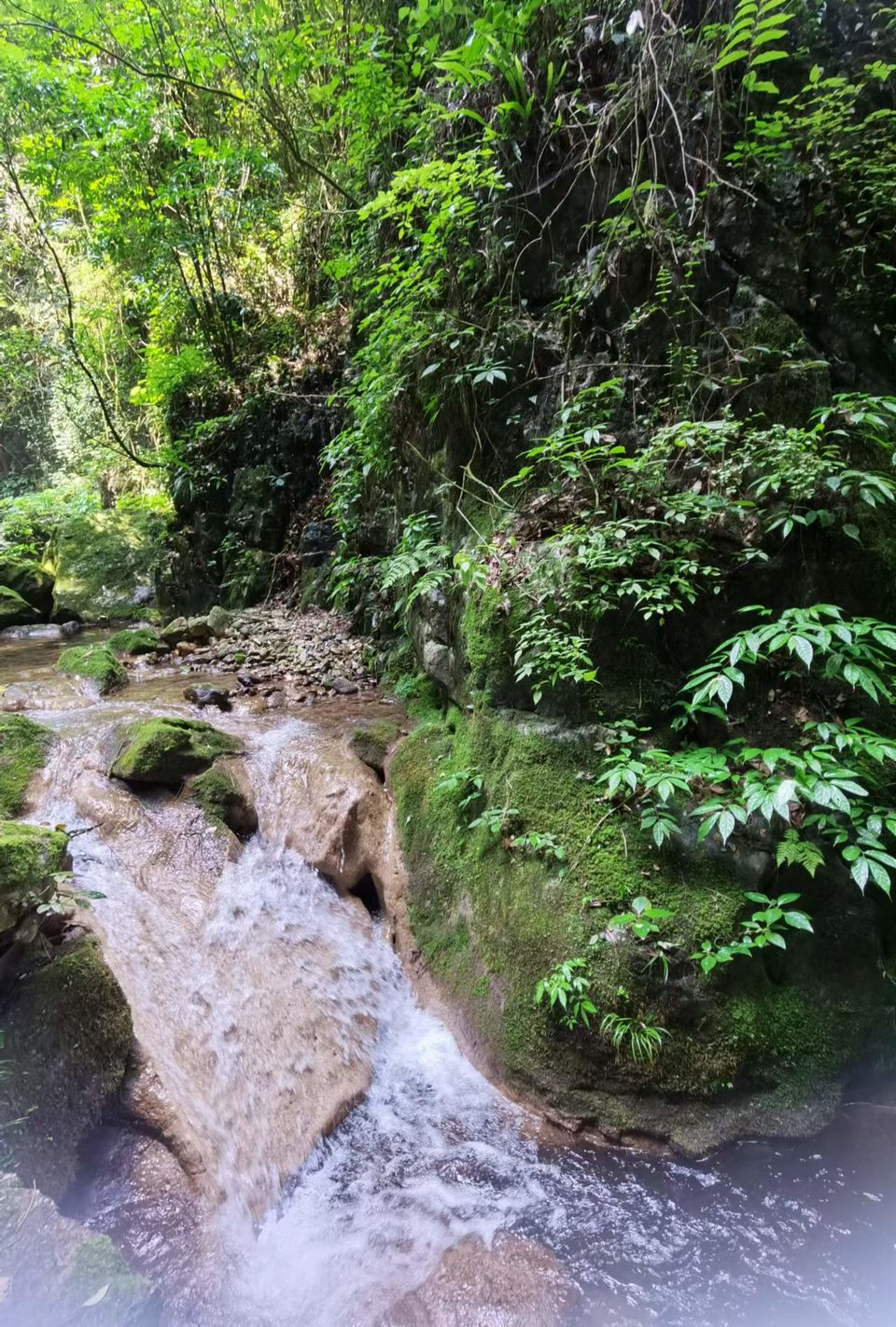 gV7wvadLHuNCmOR3tjQErM2lBDOtxbifELnBZFBuvVKF_4lk1FskrrnSUrVC0MTo