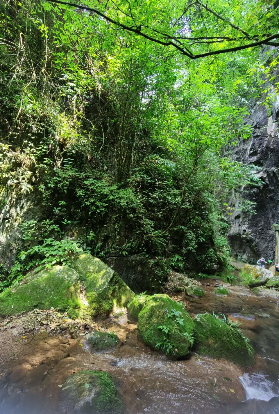 gV7wvadLHuNCmOR3tjQErNPWnse6YV8a-WVQgjfAMWAo9LGLhjYstQPoxDfNcL8n