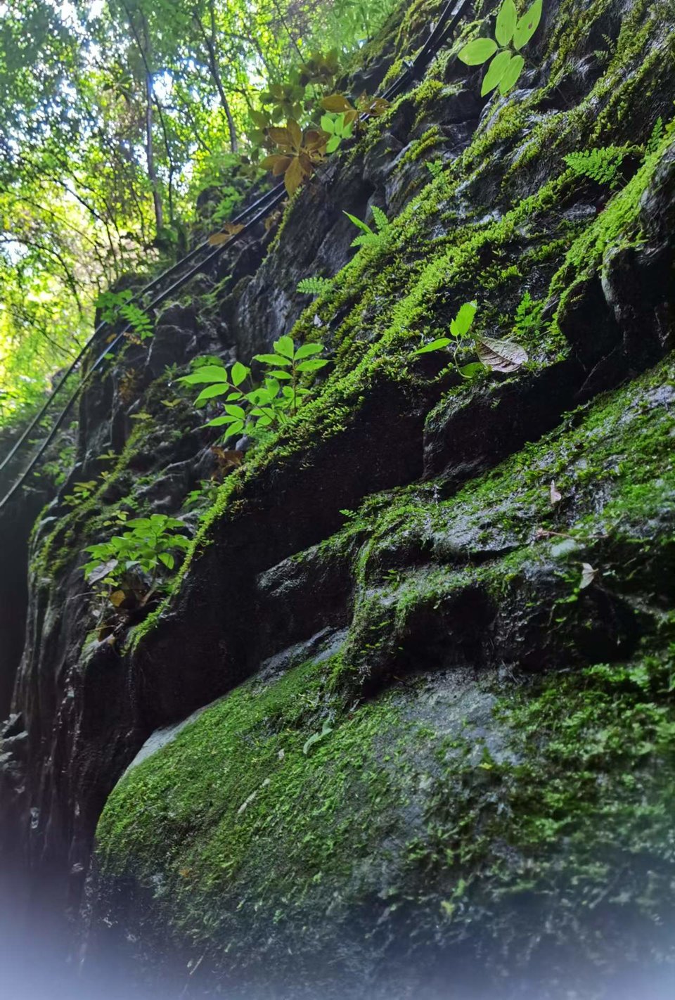 gV7wvadLHuNCmOR3tjQErKaVNro6r9FHUjUCosbS2ts3xdCX2xKkUQpEAPiLICIW