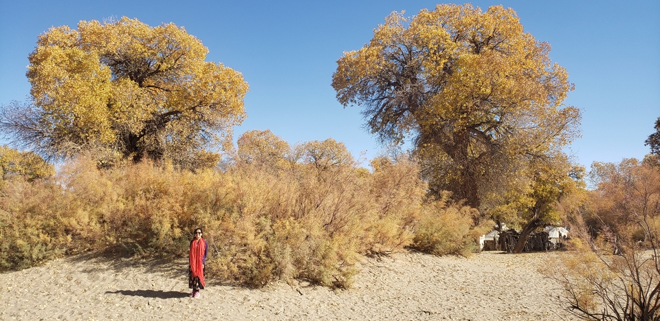 g5mnDvomrJ_oq-AL_wo7gdN5NrOGtYYtfYL-ergRngyjDPu8ZRNaWPu8utnA12YL