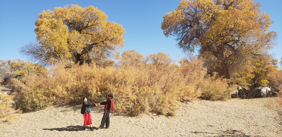 Bz2PGFuWKXg2LeS_n2WWEavN8N1fb4R43JlX36Qg_UOAUWlB_fsN68akr2la2Cn7