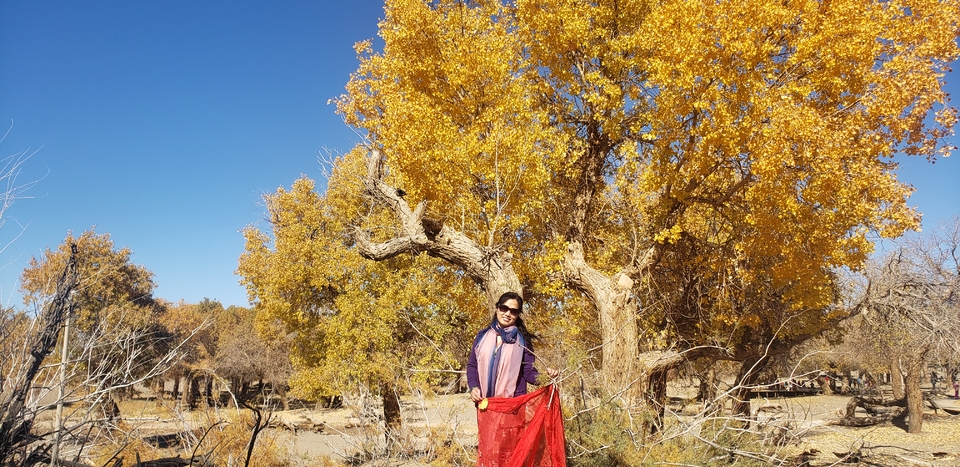 T-Vf8VLAOHqN9_roebC1pe91z-7uKdzwBbAHaiAmla1GJ8iA1RNxI37fPdz7FAS_