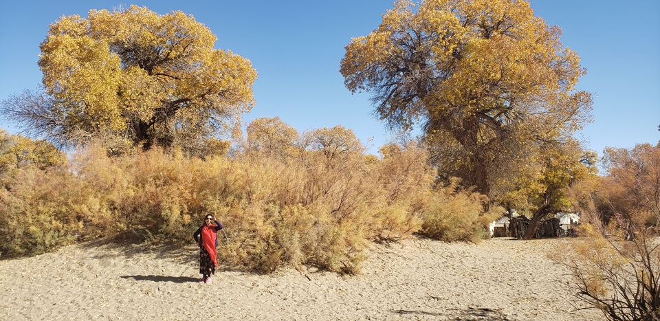 QZciInc7HwHCEwSsETp3YCnW4_3fNPpIhhqaYwcqbZyaDBfsXxFXxdGC3YsjExhx