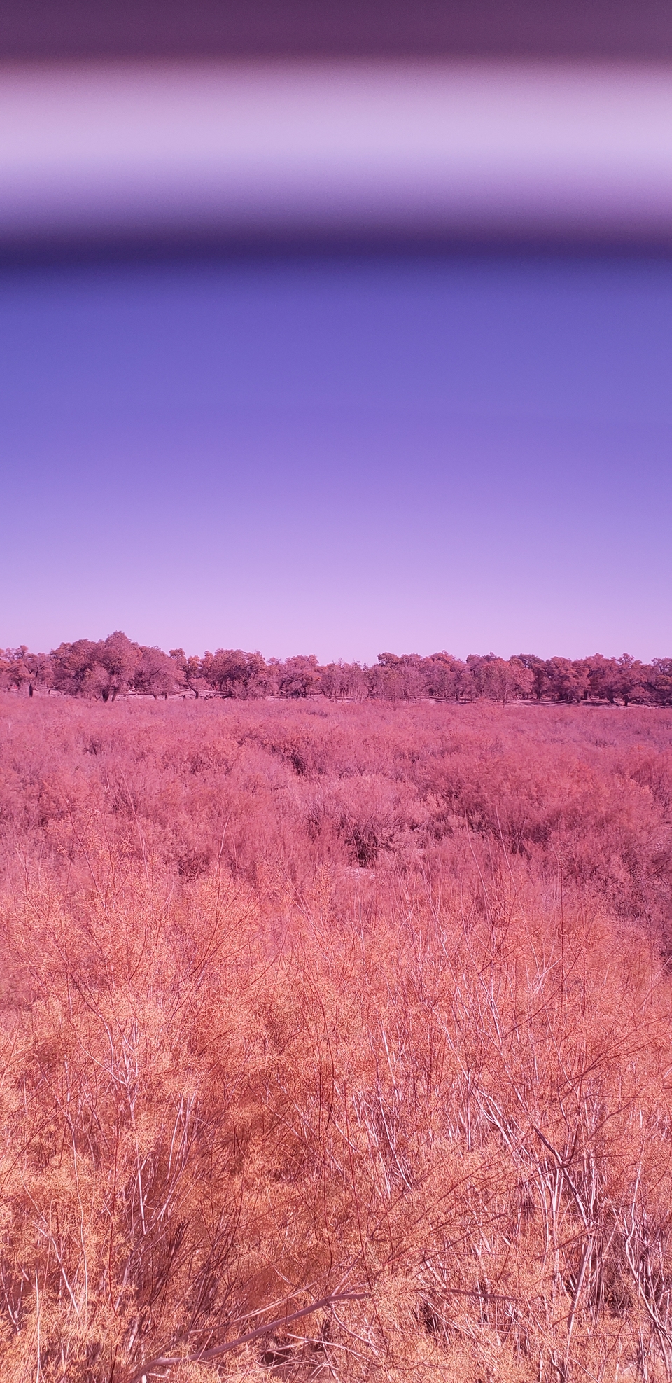 FOnRj0k88SM5antS3Hh2X9dbJdpfEvK4pCLtgzrKalsWnH1VSZArhFOZp0xUbm2J