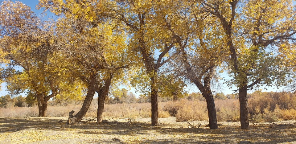 zVHCfiyhWRouR91EO5d1s1l07_yYgIY3rmzbDHe1kcSWgTg2Begck6hTT95WdLVc