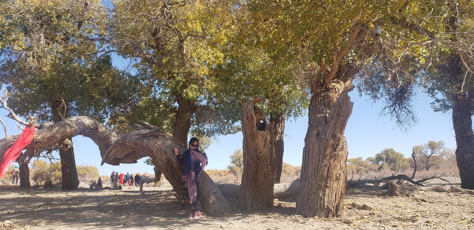 BAyI6tD4BhFmjEtfC-mgnfiGRP8t4b1p2VT8Xeb--yypqfCgcjSRvO8RZhB4VcZK