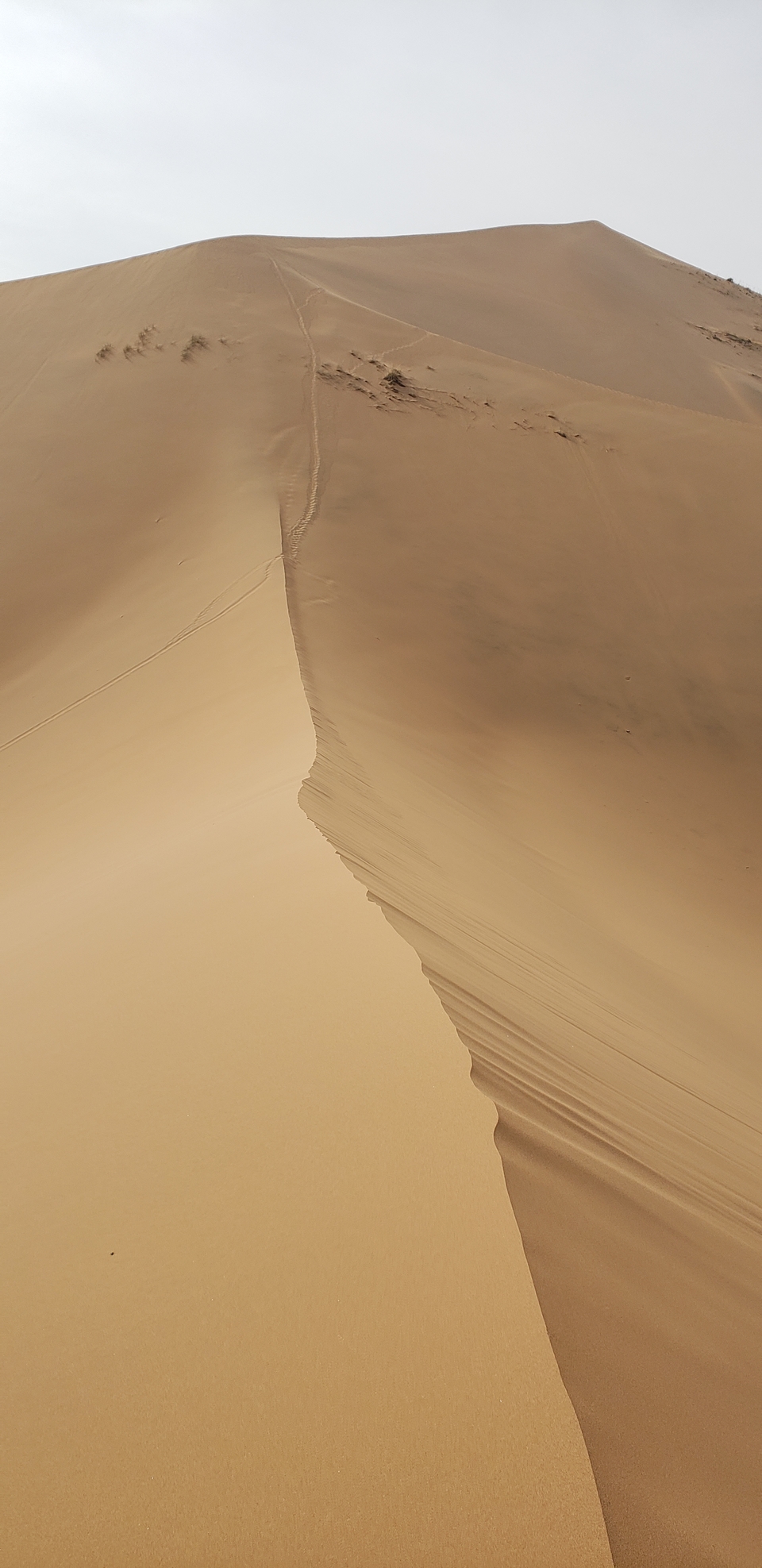 girH0z_FLLvG-JdKhw5S6hjNzxqG3TGFmjtLeOWxLTB5ibAkVk24szBXhDOZXFQ2