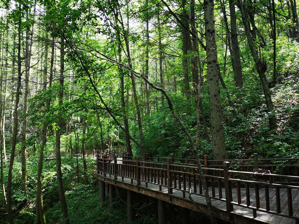 vLxQqxbASPXCCZvPw3V8Uc-ak5qSrDkloiuS1kNpTbBKThC9mQxfza7gfhej2zUV