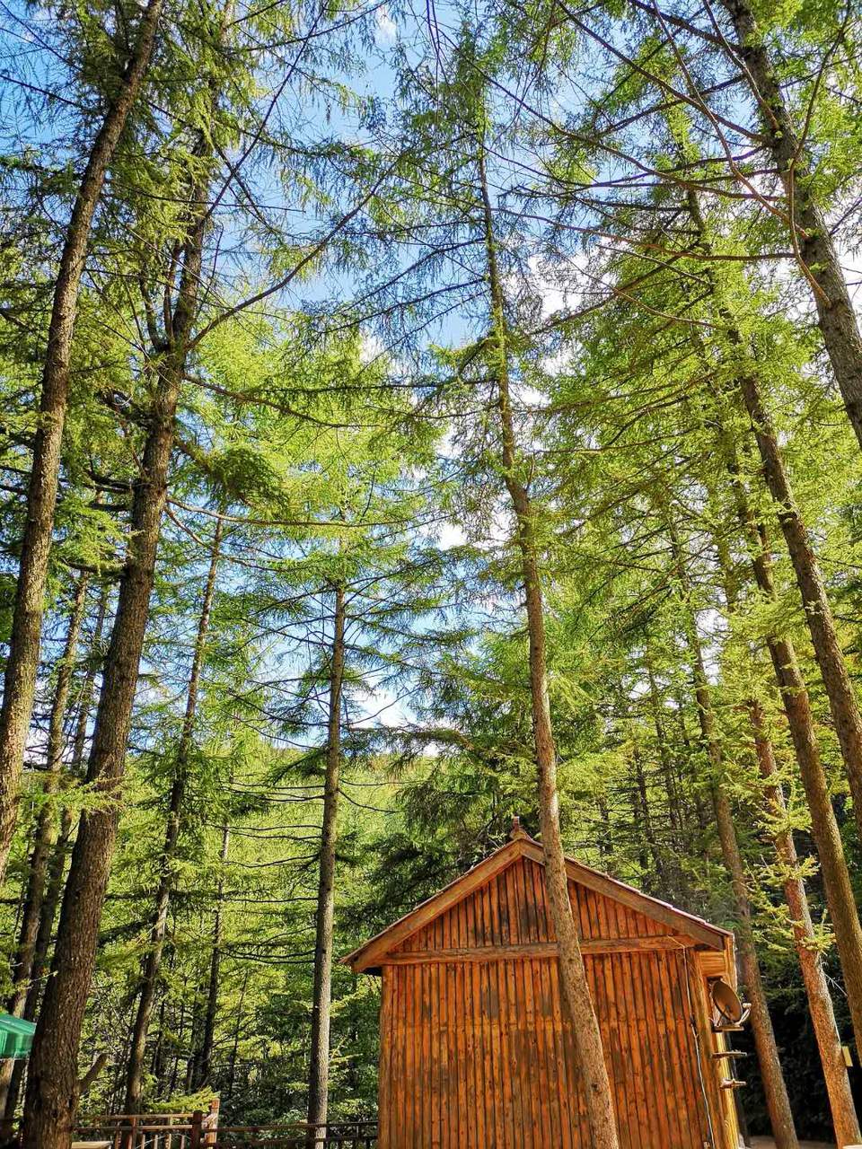 9ymbH7LAFL89k-d8ATesptih0_6-DBps3qP8z6Kp4ZKeRb1_l_d7it9XDtgPnQjQ