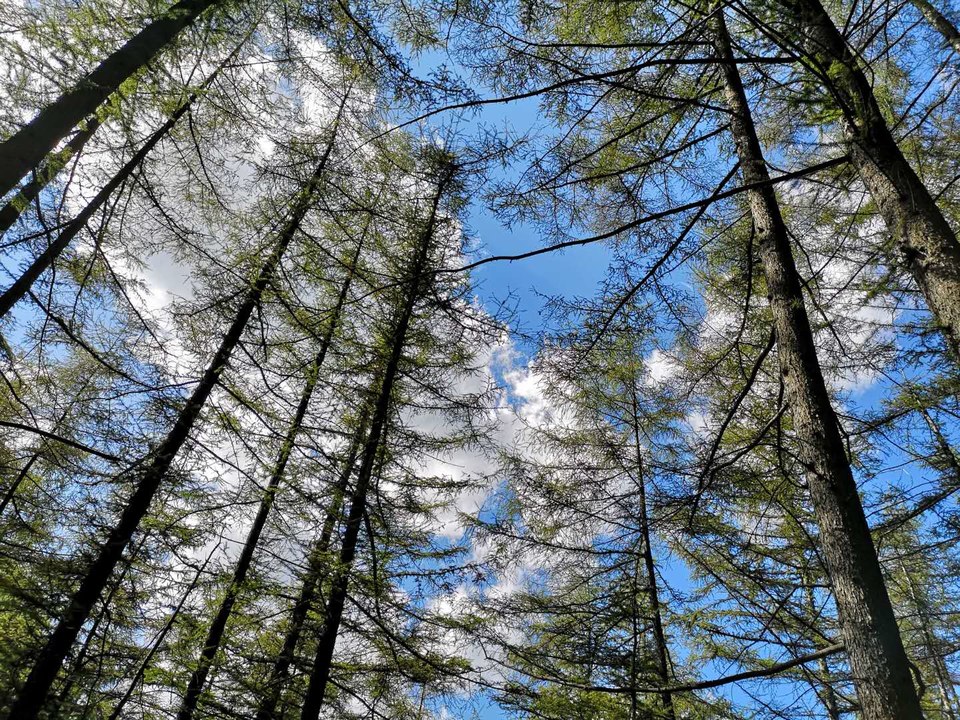 jjADCxOLdgKWDeF1ICxEoyueWChXmryzNtojAxCukFRT9wNknCpr56unFIVCU_rd