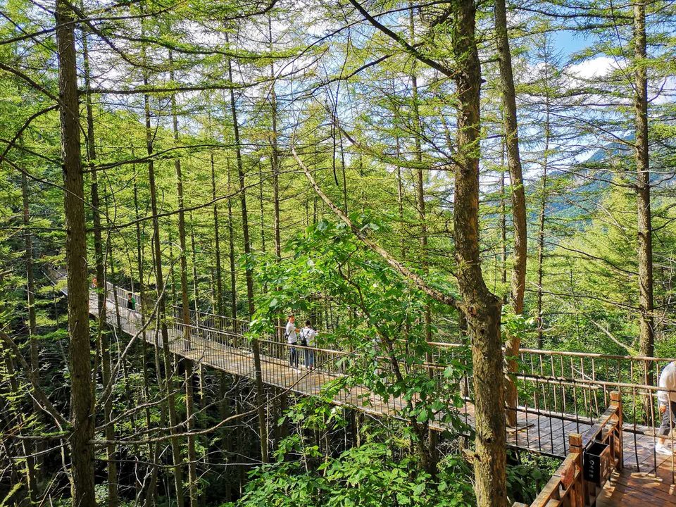 TBqlL4AiqsNivl8JHlsCu70WKLtRDWqrd6WgF1g8n3Mm4wQbR_pV3iB25fIImhFY