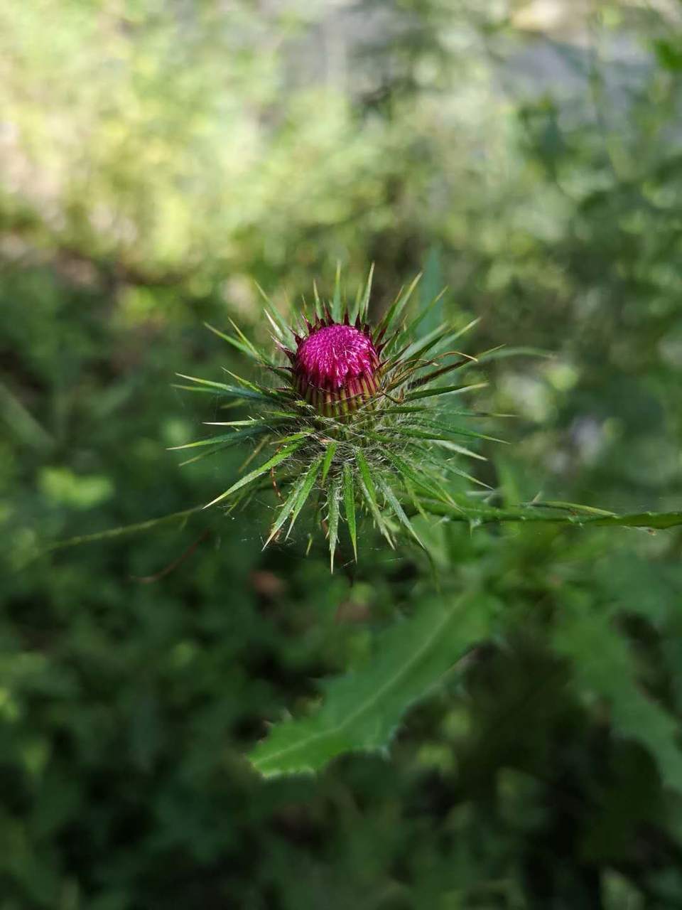 LZgkbnuLZvMc3tzi0bKC1JkgnvhrlhNDpPKOgEyOFfxtVzoNgHyNrRYQSKost-O5